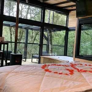  Casa de hóspedes Floresta Secreta- Cachoeira Da Neve Brasil